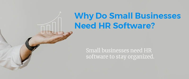 Why Do Small Businesses Need HR Software?